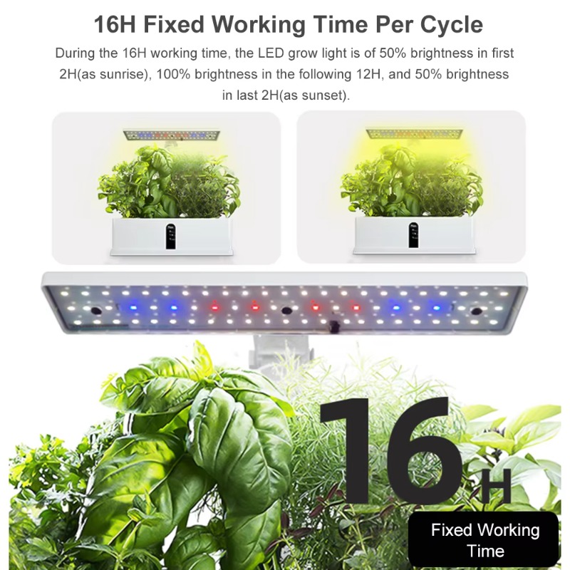 9 Bölmeli Akıllı Hidroponik Ye - Smart Garden Kit incelemesi ve fiyatı