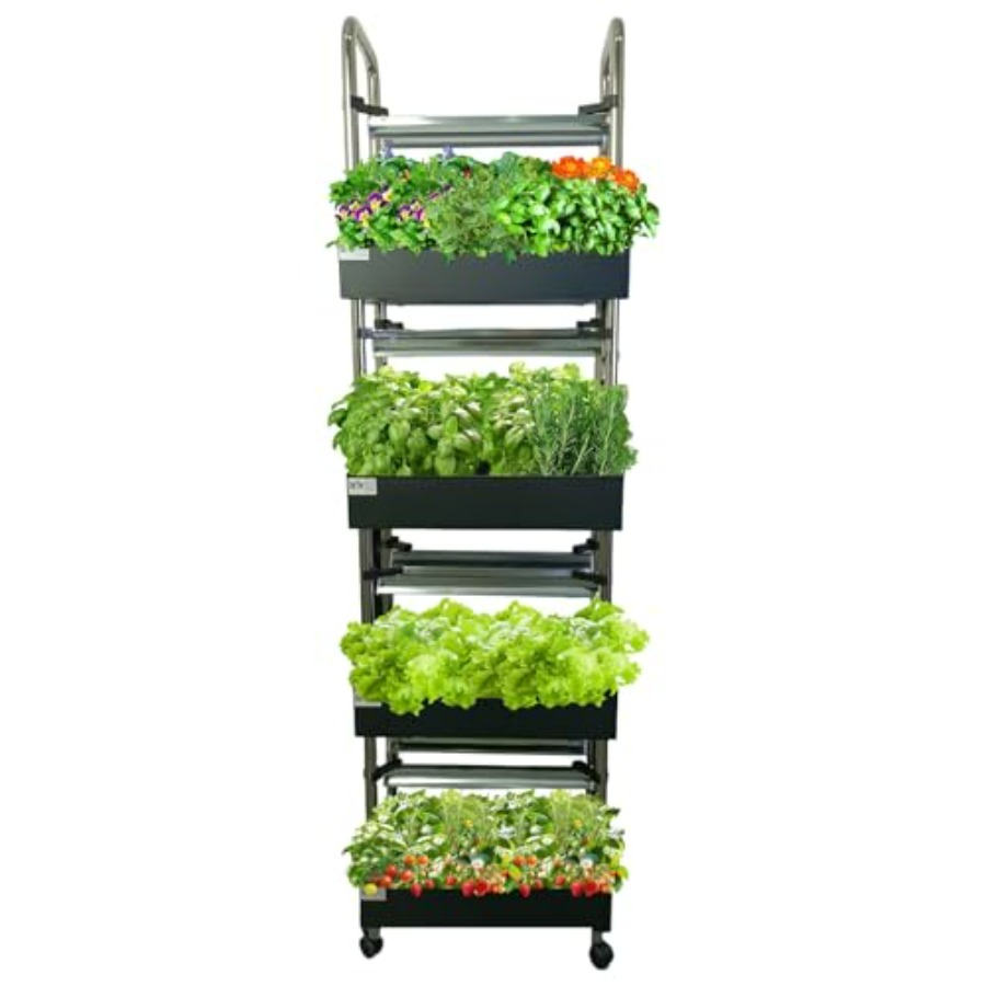 İç mekan hidroponik yetiştirme - Smart Garden System incelemesi ve fiyatı